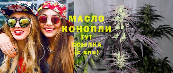 дмт Абаза