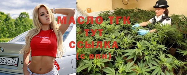 дмт Абаза