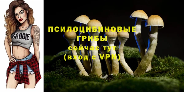 герыч Абдулино